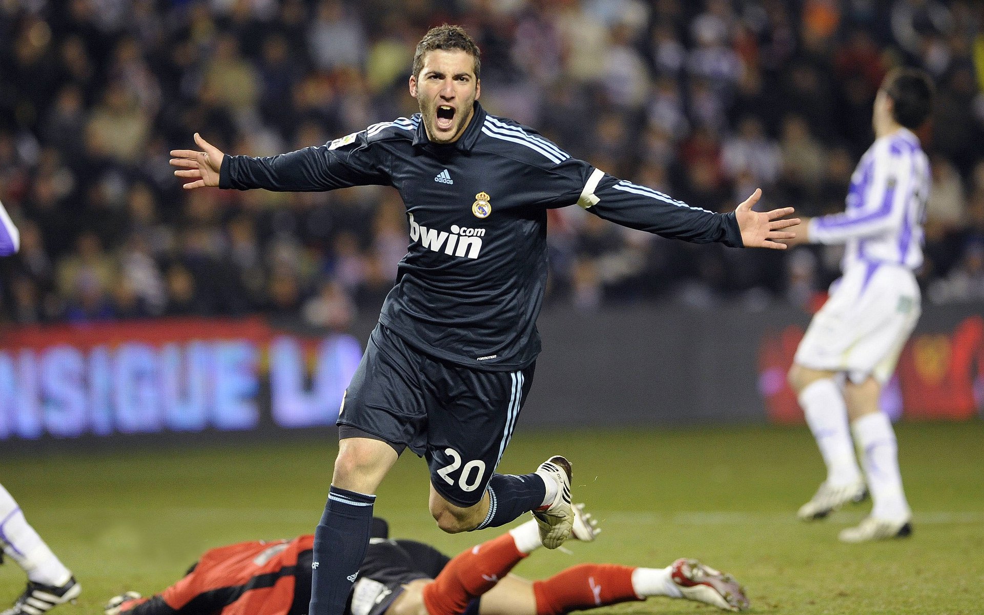 女队多点开花奖牌不断